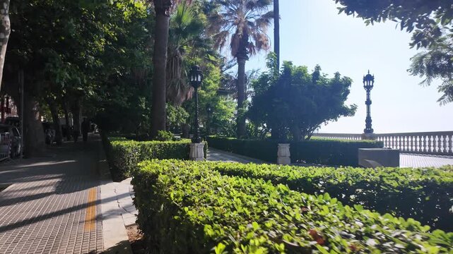 Walking shot of Alameda Apodaca gardens and Paseo de Carlos III, Cadiz, Spain