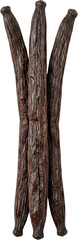 Fototapeta premium Top view of Whole vanilla bean pods bundle, isolated on transparent background png ingredient