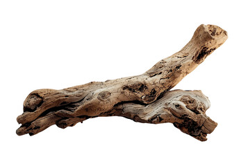 Fototapeta premium Weathered driftwood branch with multiple broken ends