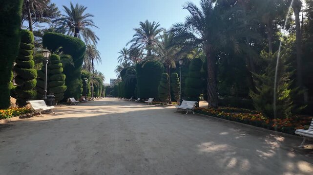 Central path of Parque Genoves with palm trees and topiary, Cadiz, Spain