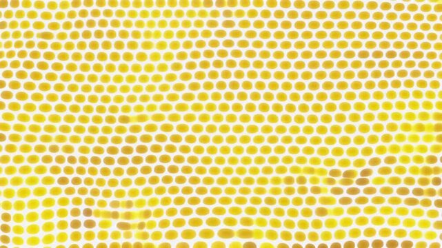 Lemon Yellow Dot Pattern Softly Pulsing, Cheerful Minimal Background
