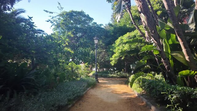 POV walking shot through Parque Genoves botanical gardens, Cadiz, Spain