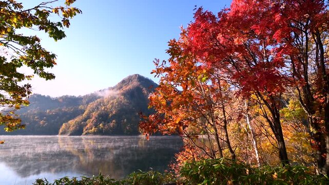 さっぽろ湖の紅葉とけあらし