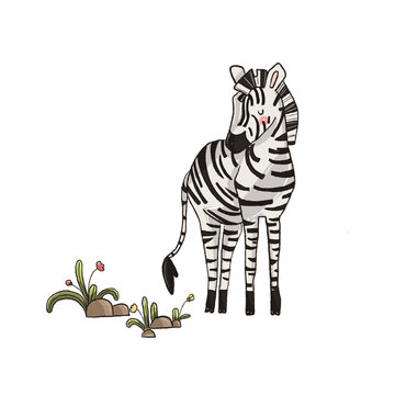 A cute hand-drawn digital illustration of a smiling zebra standing gracefully next to small plants and flowers. Rendered in a sweet, whimsical cartoon style, ideal for nursery prints.