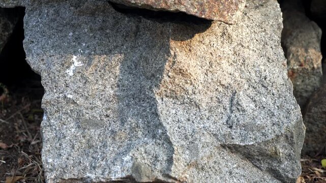 Natural Stone Rock Texture Background
A detailed close-up view of natural stone rock surface texture and rough organic shape, serving as an abstract background for design and geological concepts.
