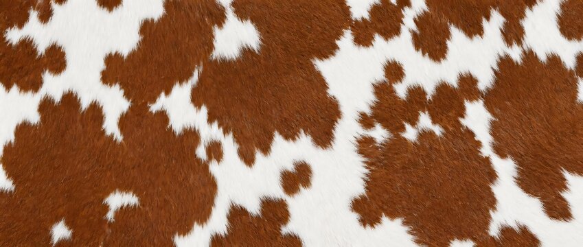 Close up of brown and white cow hide fur texture background.
