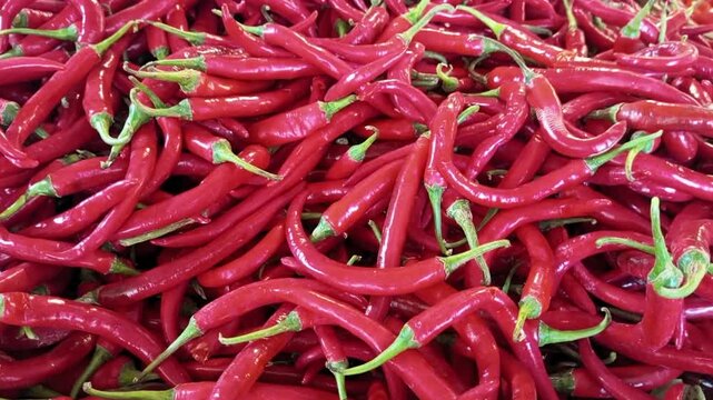 Close Up Pile of Fresh Ripe Red Chili Peppers at Traditional Market