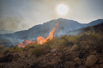 Fototapeta premium Wildfire burns through rocky desert terrain. Smoke rises against a bright sun. Mountains loom in the distance, silent and steep. Earthly heat and smoke dominate the scene
