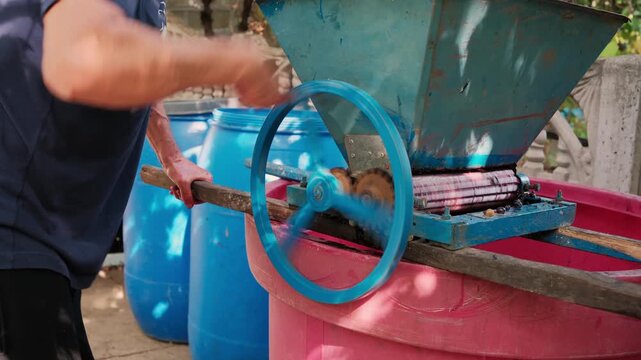 Operator turning blue flywheel on manual roller press over stained basin in outdoor workshop