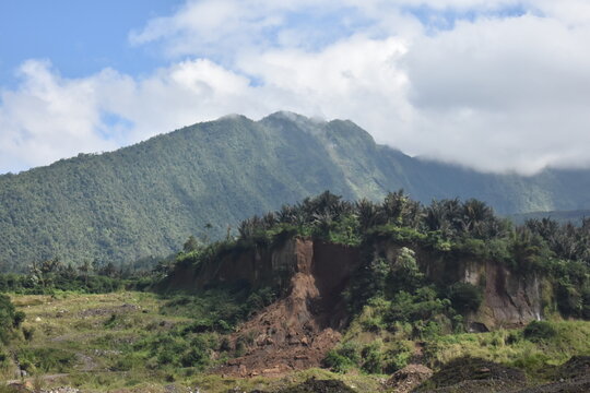 Mountain looms large behind lush green jungle. Clouds drift above, casting soft shadows. Earthly slope shows signs of erosion, bare soil exposed. Vibrant foliage thrives despite rugged terrain