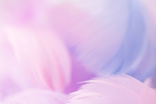 colorful background of pastel shades, airy feathers of soft pink and blue tones
