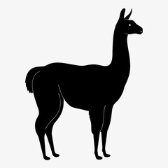 Fototapeta premium Llama Silhouette Vector – Black Minimalist Animal Icon Design