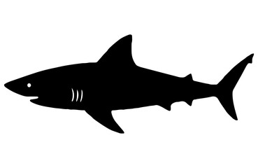 Fototapeta premium Black shark silhouette on white background, ocean marine