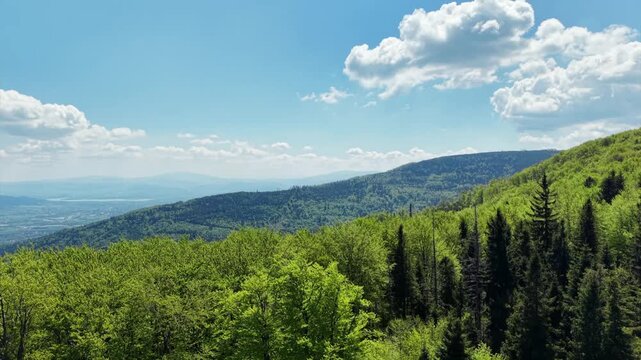 Aerial drone shot ascending over forested hills of the Beskids mountains in Poland, revealing a panorama of green wooded slopes and a distant valley on a sunny summer day