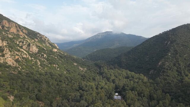 Dense Woodland And Natural Landscape Within Montimannu Forest In The Monte Linas Region Of Sardinia, Italy. Aerial Drone Shot