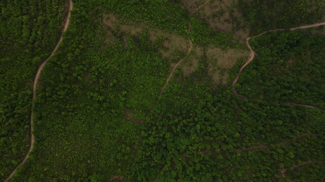 Top down aerial overhead shot ascending over green mountain terrain and dirt road landscape, Serbia