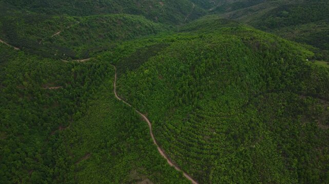 Birds eye view aerial orbit shot over rolling green mountain hills with dirt road, Serbia