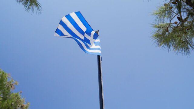 Greek flag waving proudly against a clear blue sky framed by pine tree branches