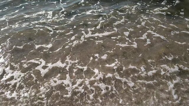 Rough coastal waves crashing onto rocky shore covered with green algae and sea foam. Murky water, sandy beach texture, and scenic horizon under a cloudy sky. Environmental nature background.