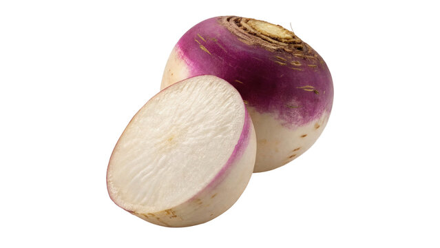 Fresh raw whole white turnip radish root vegetable cooking ingredient isolated on transparent background