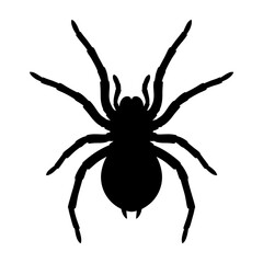 Spider Silhouette Vector, Black Spidey Graphic, Halloween Horror Symbols, Scary Bug Sign, Insect Illustration Halloween © himel