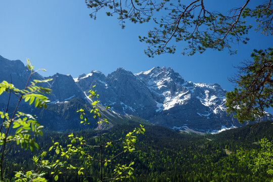 Travel landscape of Zugspitze Alps in Bavaria Germany, scenic summer nature panorama with forest, snow mountains peak. Alpine landscape