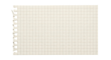 Torn sheet of grid notebook paper © Chanapat