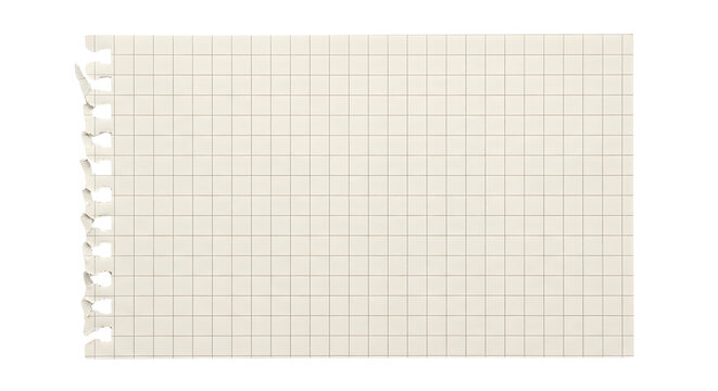 Torn sheet of grid notebook paper