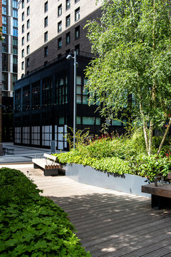 Trees cast shade across a garden courtyard, where greenery and plants rise beside a dark building facade as the terrace meets compact city architecture
