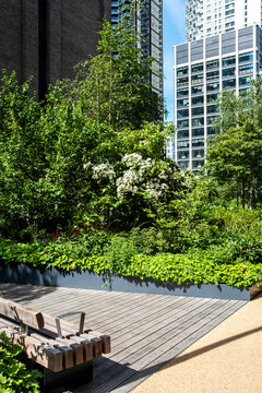 Beside a wooden bench and deck, garden flowers rise through dense greenery as trees open the city landscape toward towers and contemporary architecture