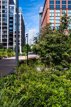 Along a quiet street, summer trees and plants extend the garden into the city, while greenery softens towers within a landscape of contemporary architecture