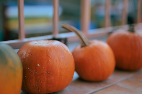  Orange Halloween Pumpkins Scattered On Ground Outside Residential House Porch. Many festive autumn squash vegetables lay randomly before home veranda 