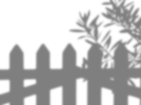 picket fence garden outdoor leaf plant shadow overlay transparent isolated background effect mockup silhouette shade dark nature yard