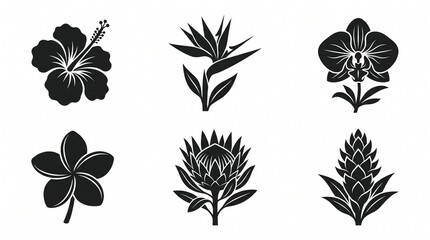 Fototapeta premium Stylized tropical flower silhouette collection featuring hibiscus, bird of paradise, orchid, plumeria, protea, and ginger, perfect for botanical design, branding, decorative art, and creative projects