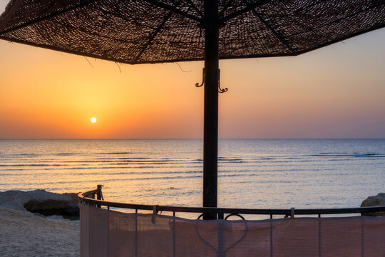 Sunbeds with umbrellas on the beach in Marsa Alam at sunrise, Egypt