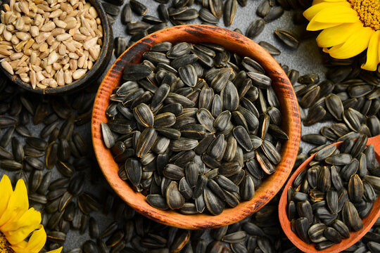 Roasted sunflower seeds with shells are in a wooden bowl on a dark stone background. This natural snack is healthy and delicious. It is a perfect choice for diet food concepts.