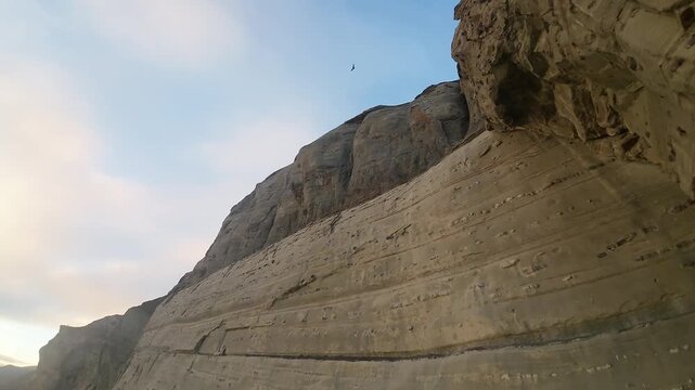 FPV aerial climbing up the layered rock cliffs of Cerro Dorotea while Andean condors soar overhead against a pale sky near Puerto Natales Chile