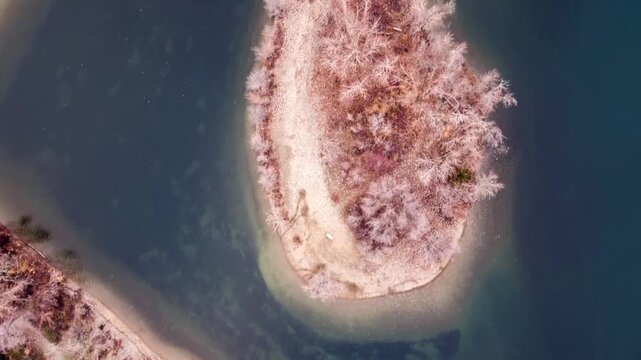 Dramatic aerial footage over Hel Peninsula, Poland captures a narrow sandy spit with sparse autumn trees, bathed in soft golden light and surrounded by tranquil blue-green waters, shot by drone.