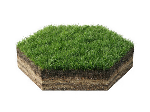 Hexagonal grass turf block with soil section as transparent cutout