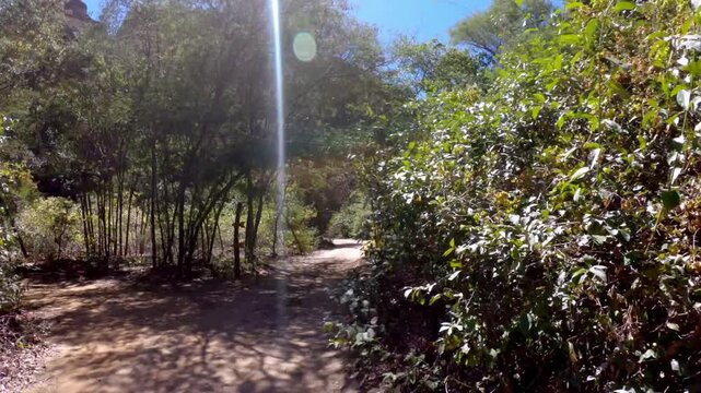 Scenic view of massive red sandstone rock cliffs towering over green caatinga trees and dirt trails in Serra da Capivara National Park, Piaui, Brazil under clear blue sky.