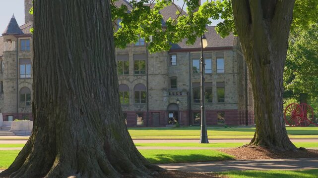 Still take of the breeze passing through Hackley Park on a summer morning.