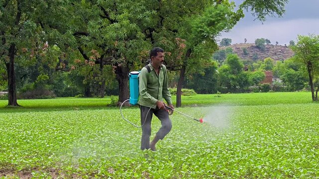 Indian farmer spraying pesticide in field. Agriculture worker.