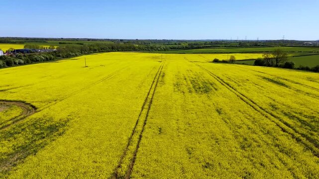 A wide elevated view shows multiple vehicle tracks, curved field edges, hedgerows and a patchwork of yellow and green farmland.