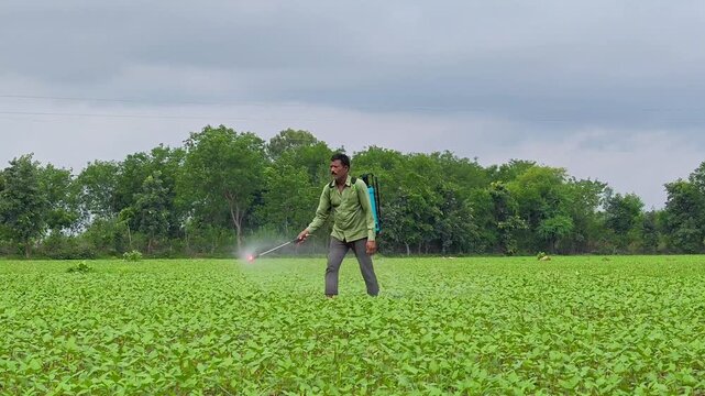 Indian farmer spraying pesticide in field. Agriculture worker.