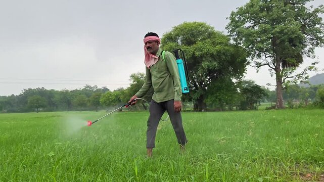 Indian farmer spraying pesticide in field. Agriculture worker.