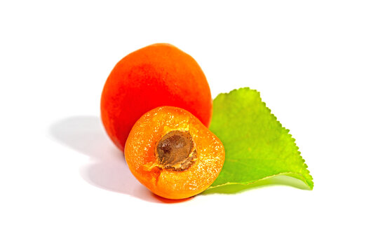Apricots against a white background