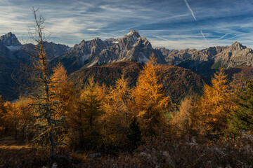 Scenic autumn mountain landscape with golden larch trees and jagged peaks. Ideal for travel and nature themes. © marcodenaro