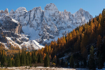 Breathtaking landscape showing high alpine peaks covered in snow contrasting with golden larch trees during the autumn season. Ideal for travel and outdoor adventure themes. © marcodenaro