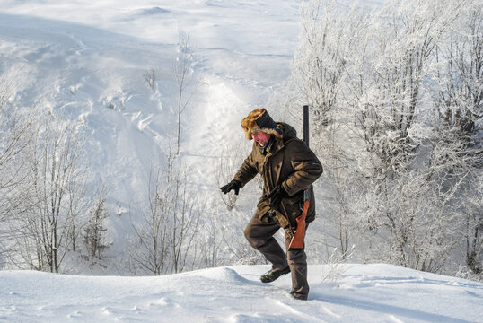 A hunter in warm clothes and a fur hat walks up a snow-covered slope with a shotgun over his shoulder. Close up.
