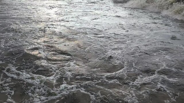 Rough coastal waves crashing onto rocky shore covered with green algae and sea foam. Murky water, sandy beach texture, and scenic horizon under a cloudy sky. Environmental nature background.